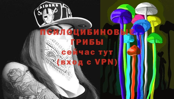 амф Нязепетровск