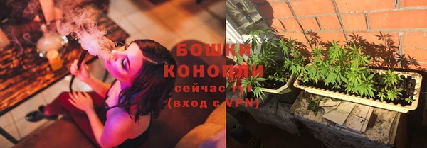 МДПВ Няндома
