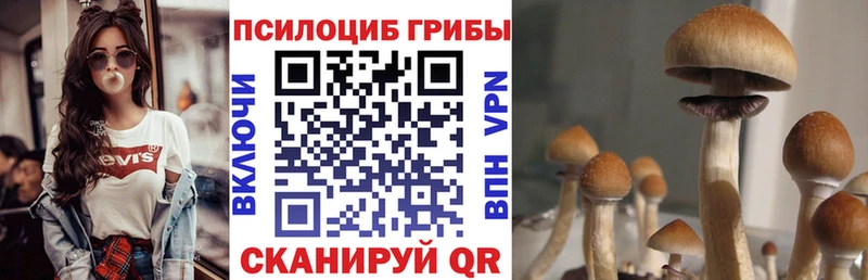 хочу наркоту  мега сайт  дарк нет формула  Гуково  Галлюциногенные грибы мицелий 