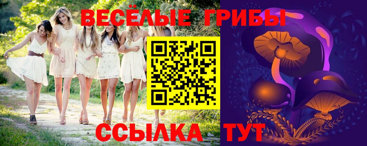 Галлюциногенные грибы Cubensis Гуково